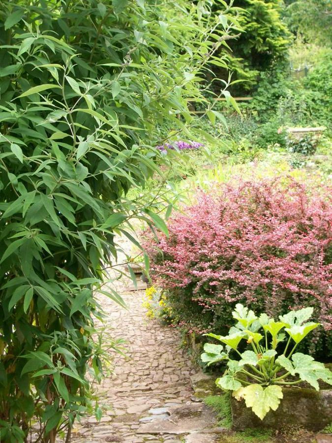 Middletown Farmhouse B&B Okehampton Luaran gambar