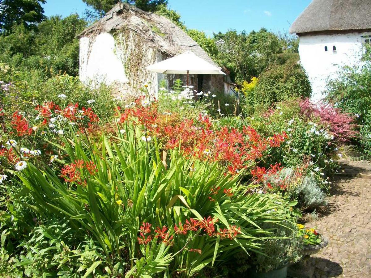 Middletown Farmhouse B&B Okehampton Luaran gambar