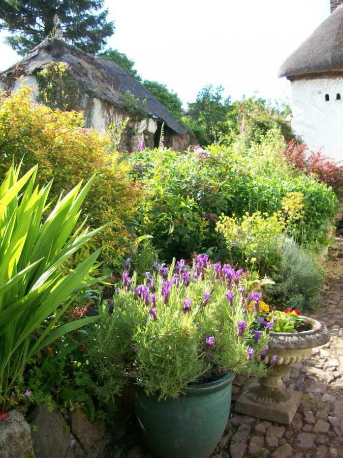 Middletown Farmhouse B&B Okehampton Luaran gambar