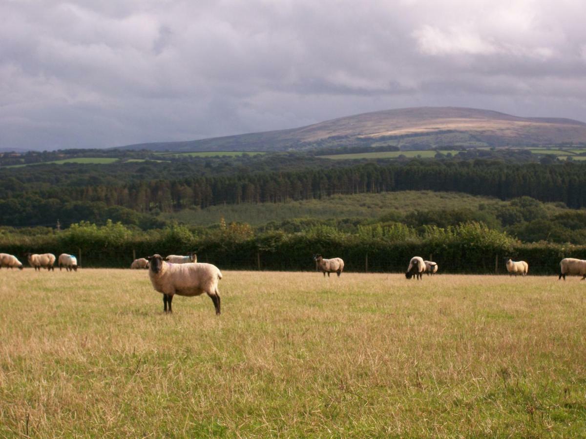 Middletown Farmhouse B&B Okehampton Luaran gambar
